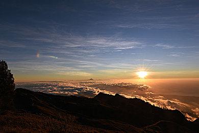 后续无新怪 解包显示《怪物猎人:荒野》大型更新仅4次